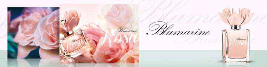 Blumarine Rosa
Die Rose ist ein...