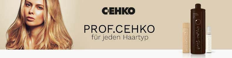 C:EHKO prof.cehko