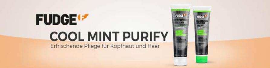 Fudge Cool Mint Purify Fudge Cool Mint Purify