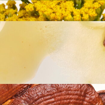 Origins Produktlinien kaufen