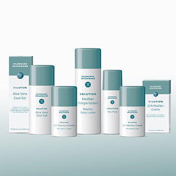 Hildegard Braukmann Solution kaufen