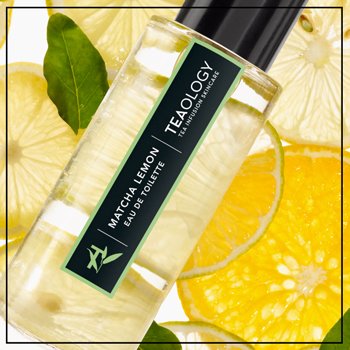 TEAOLOGY Dfte kaufen