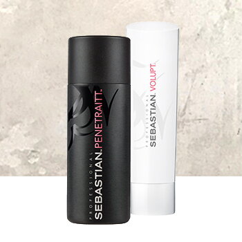 Sebastian Professional Foundation kaufen Sebastian Professional Foundation kaufen