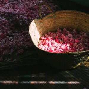 Amouage - Ein besonderer Name Amouage - Ein besonderer Name