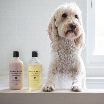 Bondi Wash Dog Collection kaufen Bondi Wash Dog Collection kaufen