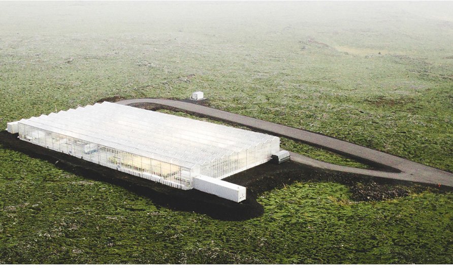 Das BIOEFFECT Gewchshaus