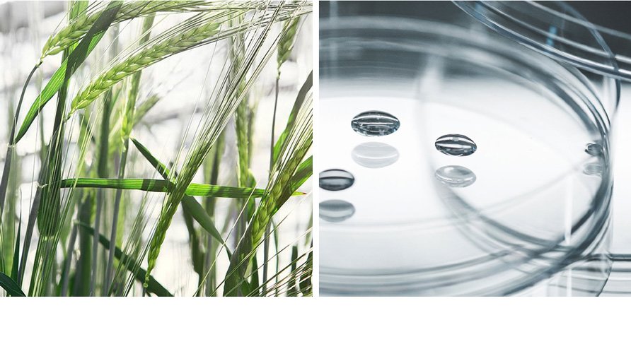 Die BIOEFFECT Forschung