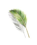 Origins - UNSERE ERDE Origins - UNSERE ERDE