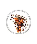 Origins - UNSER REINHEITSGEBOT Origins - UNSER REINHEITSGEBOT