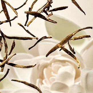 RITUALS The Ritual of Karma kaufen