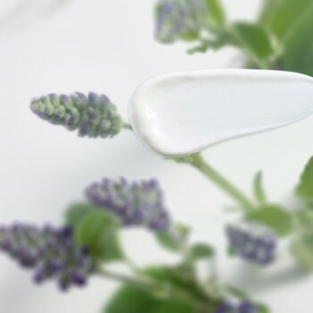 RITUALS The Ritual of Namaste kaufen