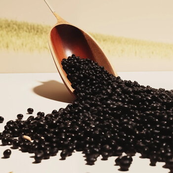 SOBER BERLIN Duft Spicy kaufen