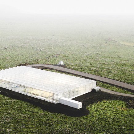 Das BIOEFFECT Gewchshaus