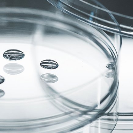 Die BIOEFFECT Forschung