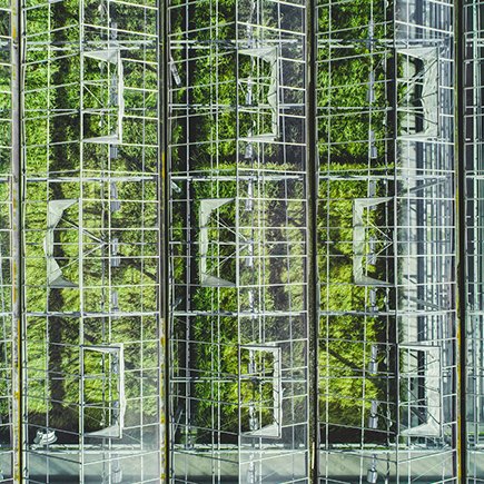 BIOEFFECT aus Island