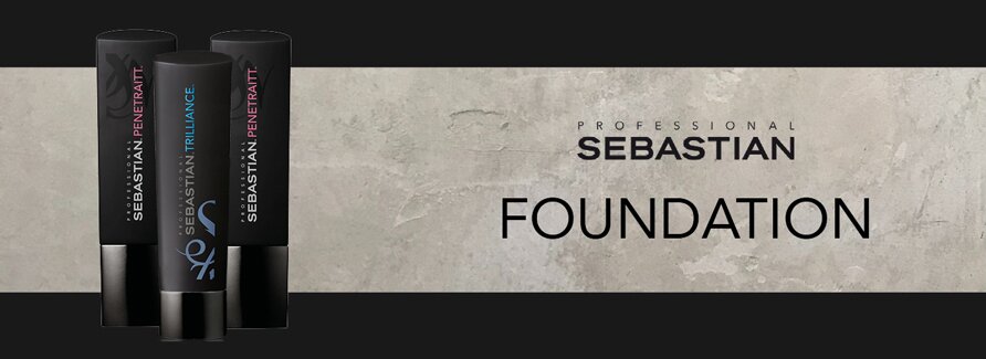 Sebastian Professional Foundation