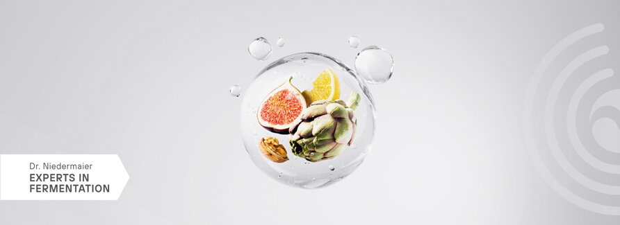 Dr. Niedermaier Regulat