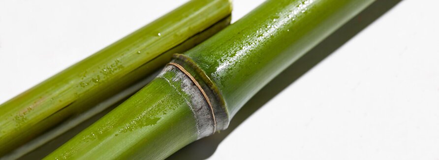 Erborian Produkte nach Wirkstoffen Bamboo Erborian Produkte nach Wirkstoffen Bamboo