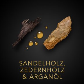 Sebastian Dark Oil Haaröl 30 ml