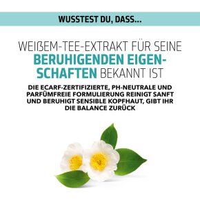 Goldwell Scalp Specialist Sensitive Foam Shampoo 250 ml