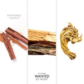 Azzaro Wanted by Night Eau de Parfum Spray 100 ml