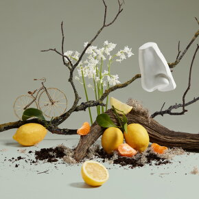 Penhaligon's Quercus Eau de Cologne (EdC) 100 ml