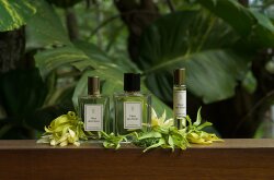 Une Nuit Nomade Fleur des Fleurs Eau de Parfum (EdP) 100 ml