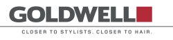 Goldwell Salon Tools Kamm mit Griff schwarz