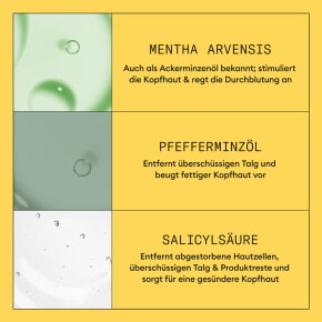 Nioxin System 1 Cleanser Shampoo 300 ml