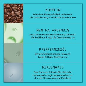 Nioxin System 3 3-Stufen-System 150+150+50 ml