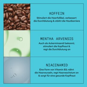 Nioxin System 3 Scalp & Hair Treatment 100 ml