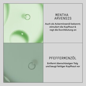 Nioxin Density Defend Hair Booster 100 ml