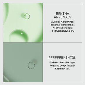 Nioxin Expertenpflege Dermabrasion 75 ml