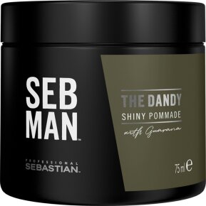 Sebastian Seb Man The Dandy Light Hold Pomade 75 ml