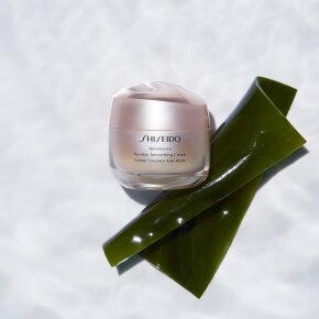 Shiseido Benefiance Wrinkle Smoothing Cream 50 ml
