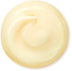 Shiseido Benefiance Wrinkle Smoothing Cream Enriched 50 ml