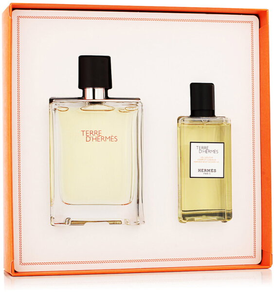 Aktion - Hermès Terre d'Hermès Geschenkset (EdT100/SG80)
