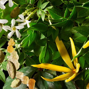 Molton Brown Relaxing Ylang-Ylang Bath & Shower Gel 300 ml