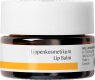 Dr. Hauschka Lippenkosmetikum 4,5 ml