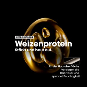 L'Oréal Professionnel Serie Expert Absolut Repair Shampoo 300 ml