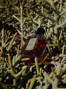 Une Nuit Nomade Ambre Khandjar Eau de Parfum (EdP) 50 ml