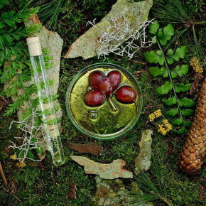 Schwarzwald Bergquell Gesichtstonikum 100 ml