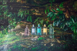 4711 Acqua Colonia Intense Wakening Woods of Scandinavia Eau de Cologne (EdC) 50 ml