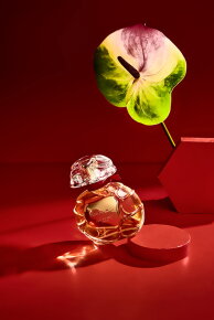 Houbigant Collection Privée Mon Boudoir Eau de Parfum (EdP) 100 ml