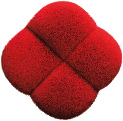 Shiseido Hanatsubaki Hake Polishing Face Brush 1 Stk.