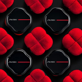 Shiseido Hanatsubaki Hake Polishing Face Brush 1 Stk.