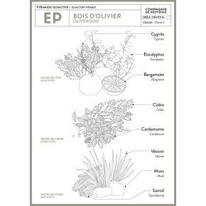 La Compagnie de Provence Liquid Marseille Soap Olive Wood 300 ml
