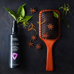 Aveda Speed of Light Blow Dry Accelerator 200 ml