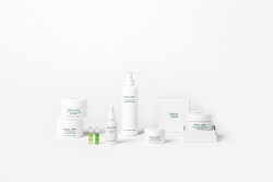 Royal Fern Phytoactive Skin Perfecting Essence 200 ml