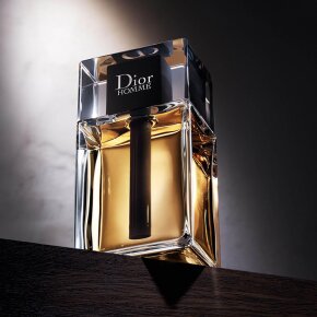 DIOR Homme Eau de Toilette (EdT) 100 ml